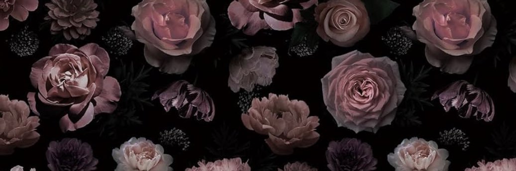 Brielle ~ (Parody) banner