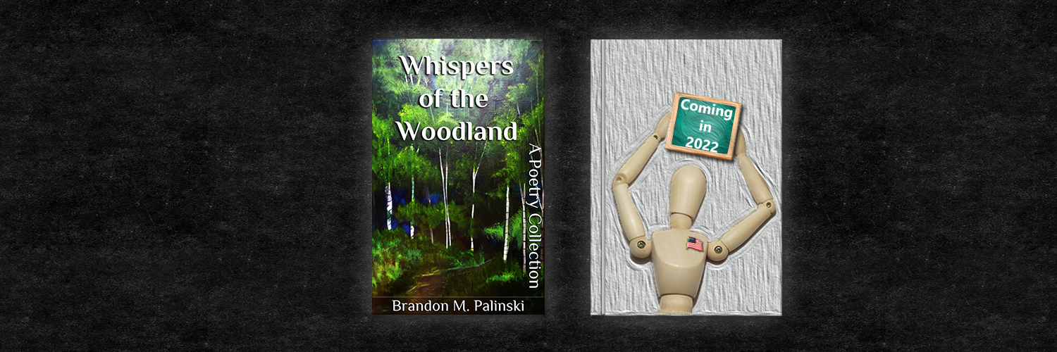 PalinskiAuthor's profile banner image
