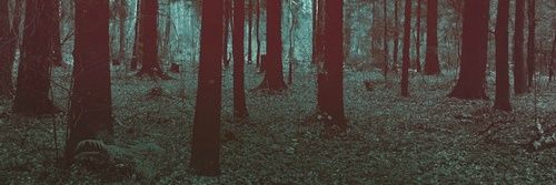 ekialejandro's profile banner image
