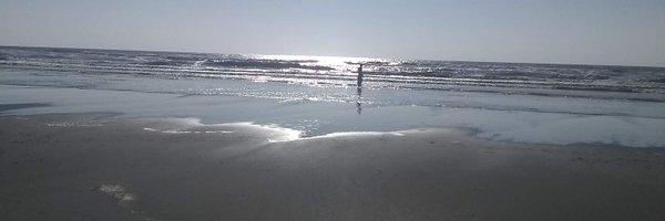 harborguy64 Profile Banner