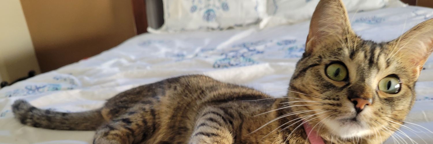 Big girl Bijoux💕 banner