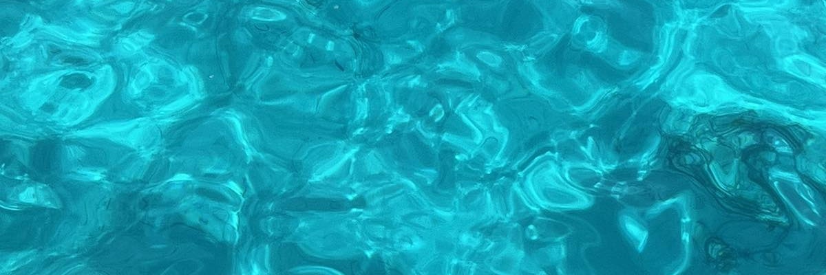 Σοφία's banner