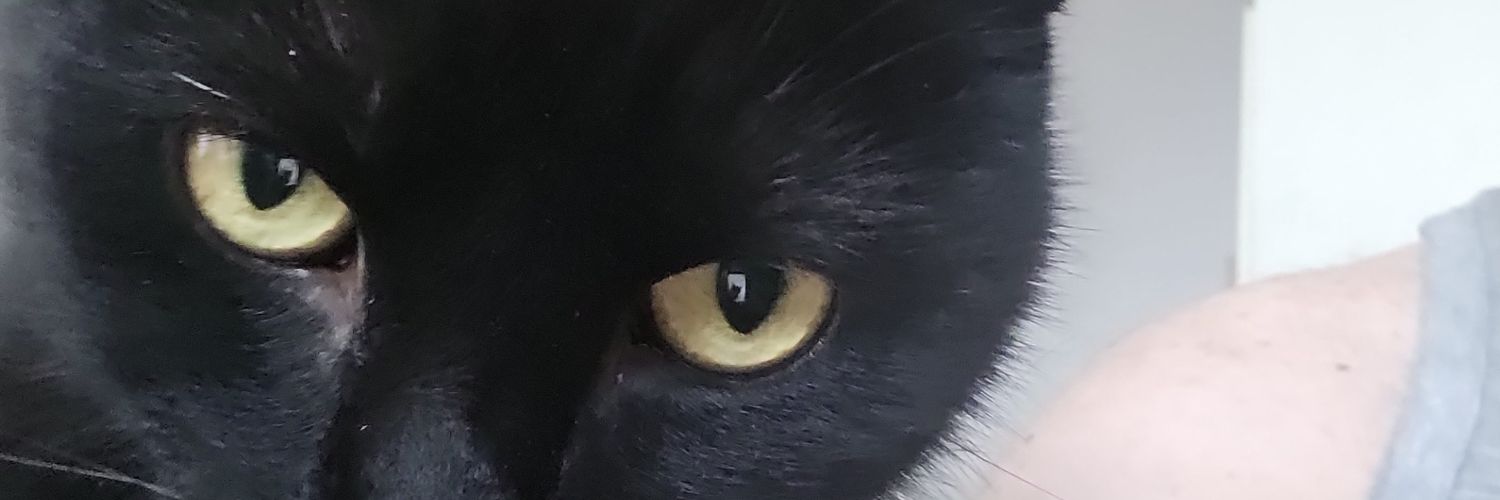 Ronald_Plas's profile banner image