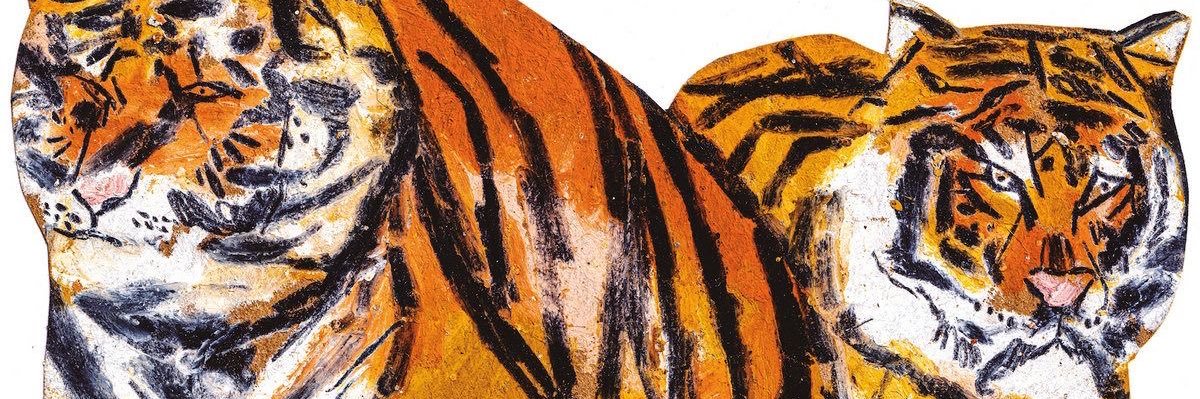 furacão da cpi🐅 banner