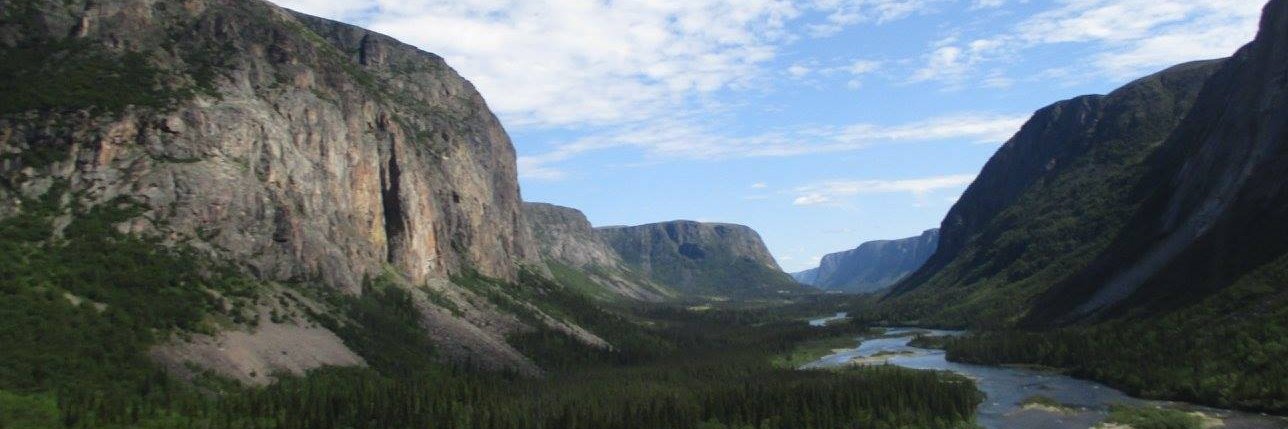 Sarah Salisbury banner