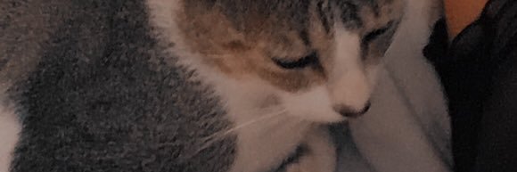 JiulietteF's profile banner image
