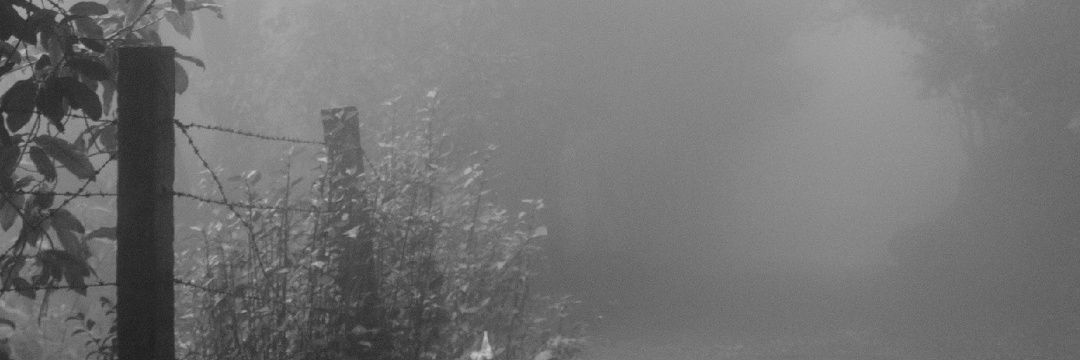 Tellos_vellas's profile banner image