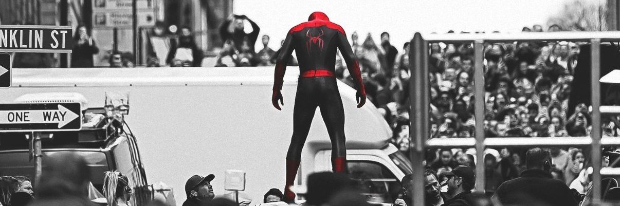 The.SpiderGeek banner