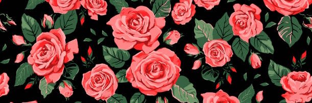 Shypetalss's profile banner image