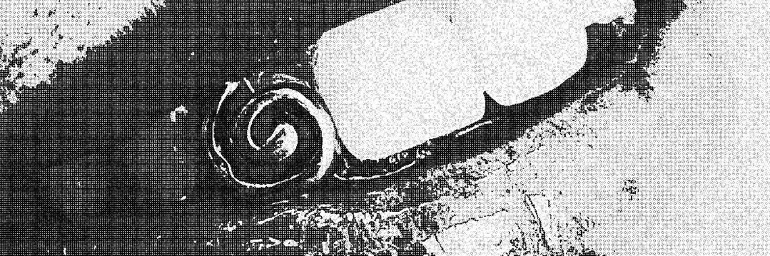 valbertoes's profile banner image