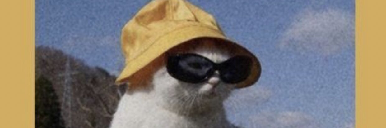 linaaaye's profile banner image