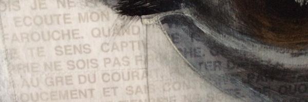 domidom Profile Banner