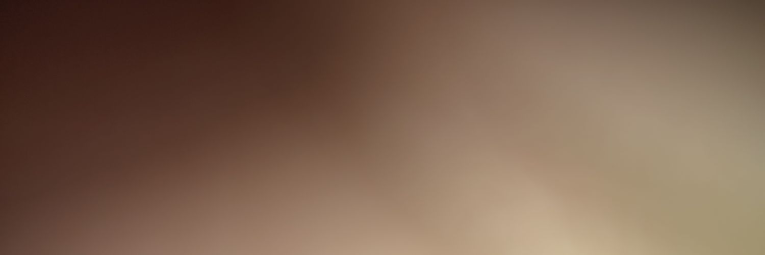 HansLPTragon's profile banner image