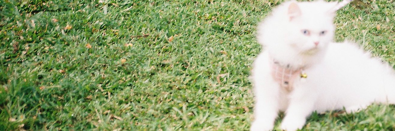 celeenatria's profile banner image