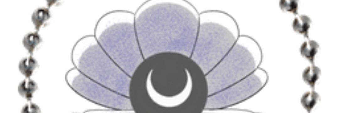 LunaPearl93's profile banner image