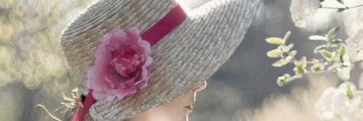 Gusta banner