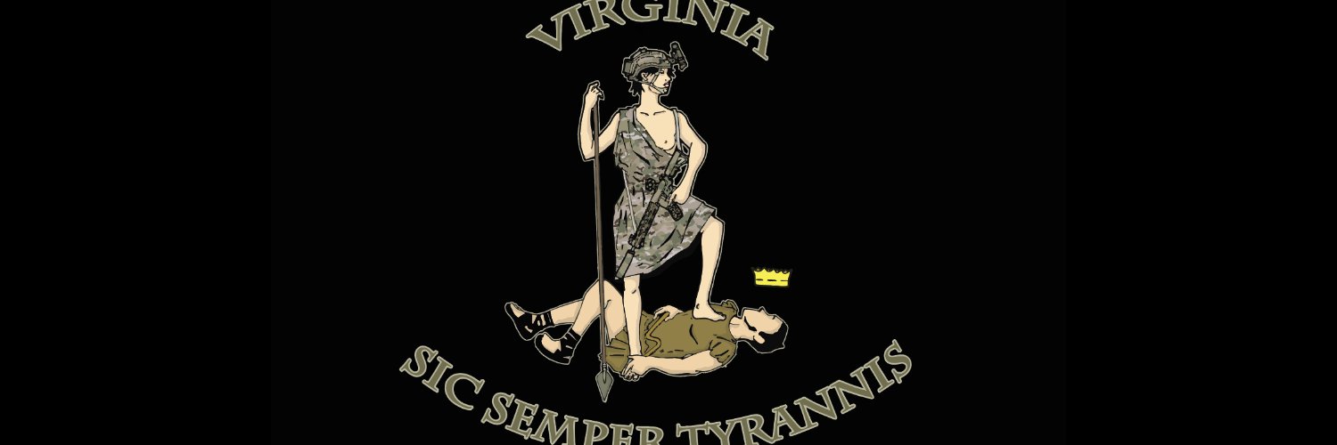 Libertarian Party of Virginia banner