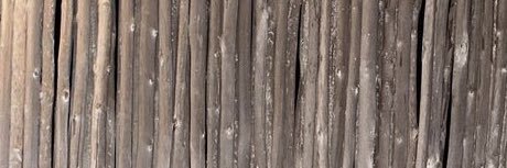 canceerrs's profile banner image