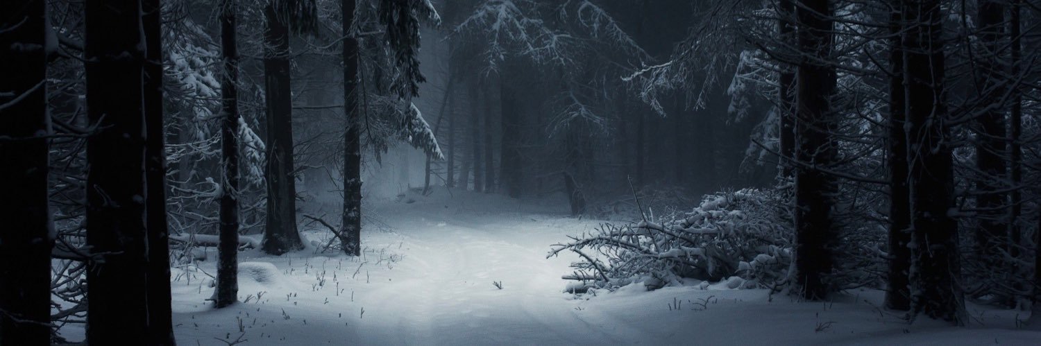 cariiboubou's profile banner image