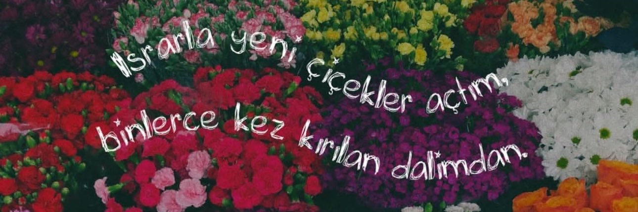beritankaya07's profile banner image