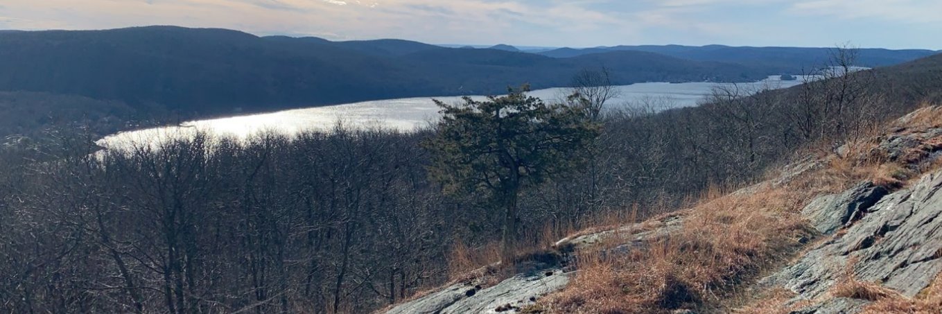 rmorton1459's profile banner image