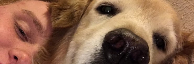 ginga_ninja070's profile banner image