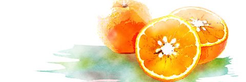 sunfruits_17's profile banner image