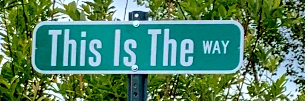 MadJack Đ🚀 banner