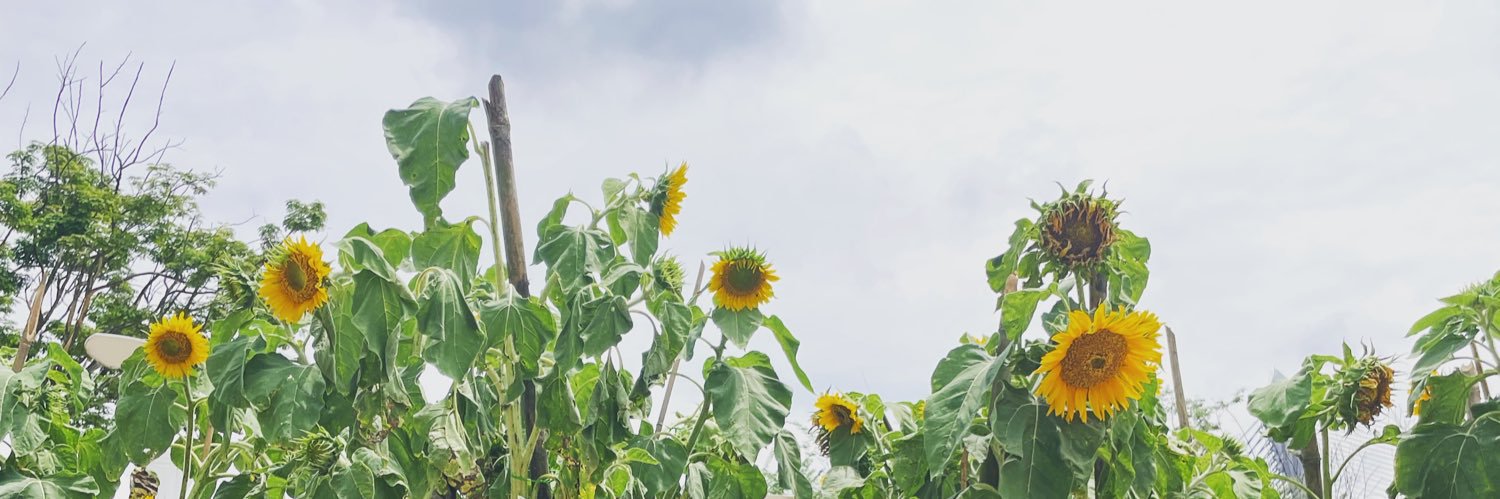 tyrakottt's profile banner image