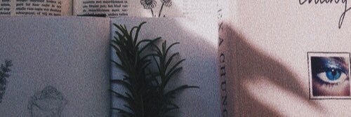 mcielo_'s profile banner image