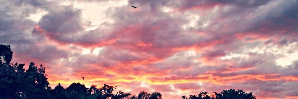Anclaft_'s profile banner image