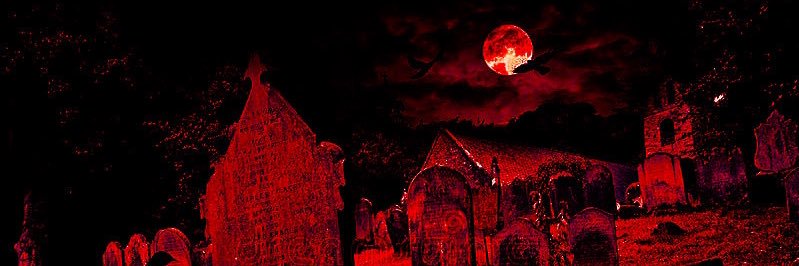 🔪 🕷️ 𝕾𝖕𝖊𝖈𝖙𝖔𝖗💀🔜TFS's banner