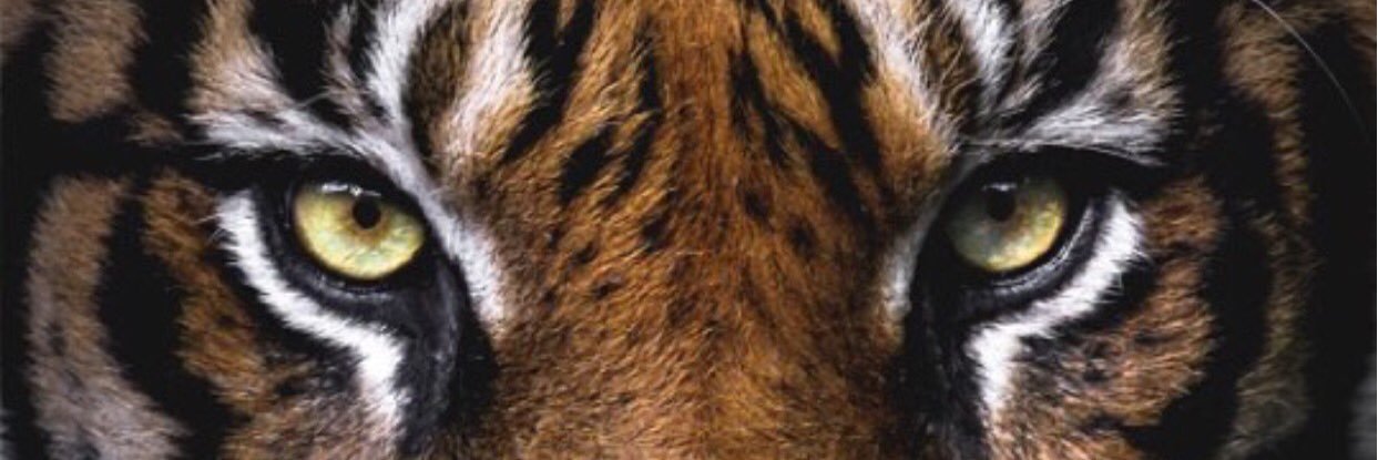 kaplansezen's profile banner image