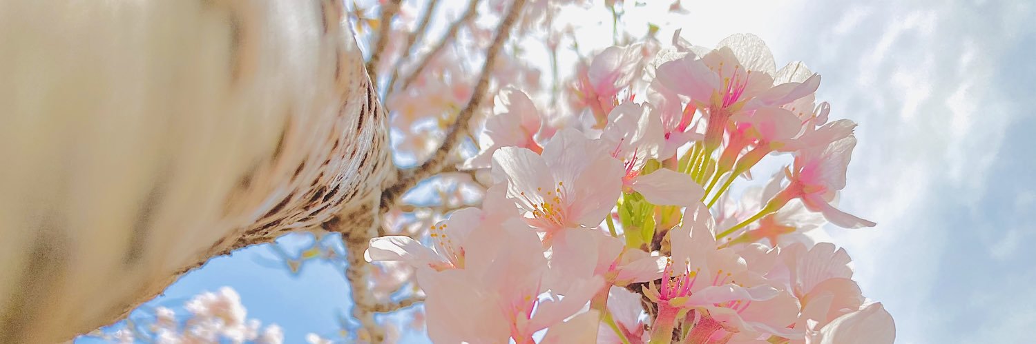 かえで🍁 banner