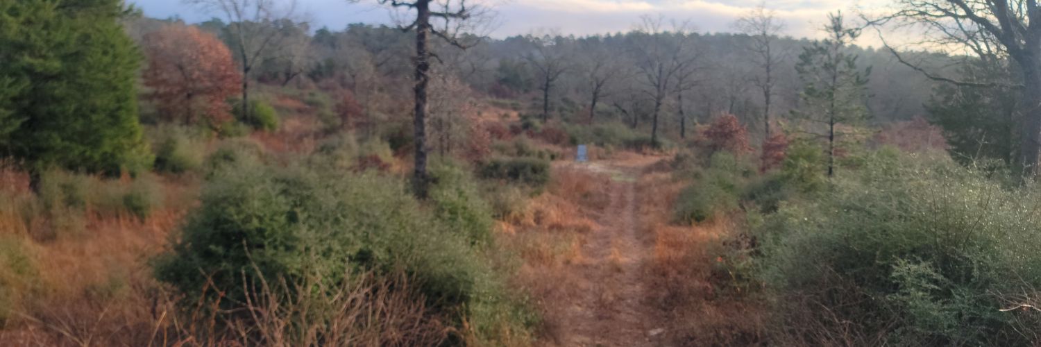 Copper Delivery Art School banner