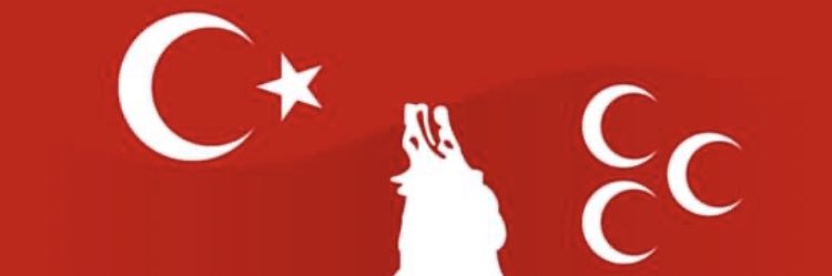 Asena banner