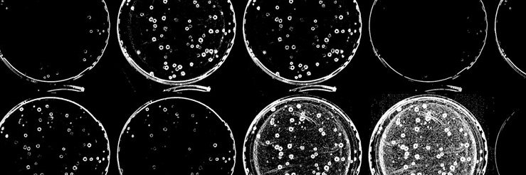 Brendan O'Hara banner