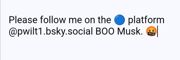 PeterWilt1 Profile Banner