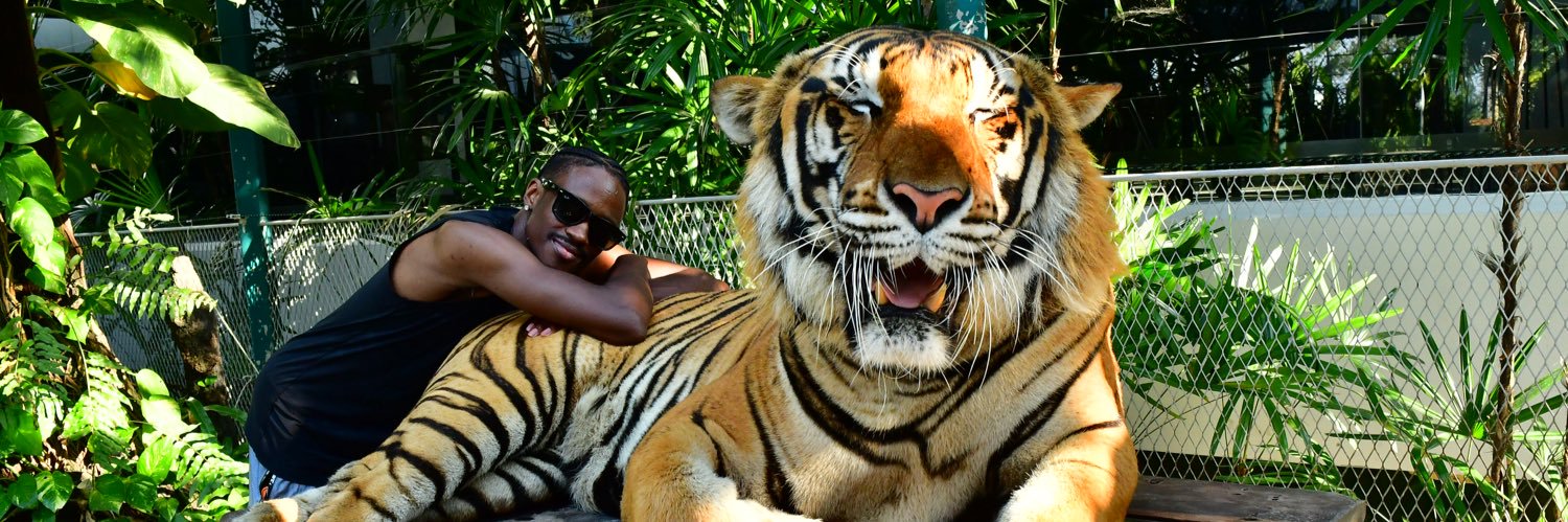 s550trez's profile banner image