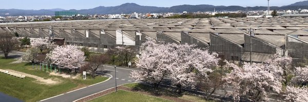 welcome_kimura Profile Banner