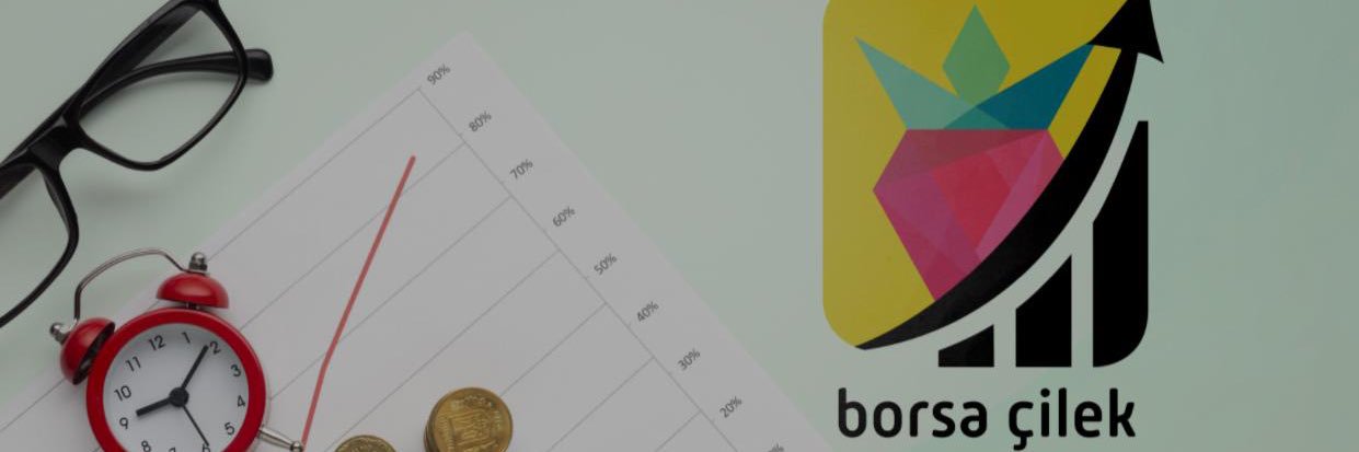 borsa_cilek's profile banner image