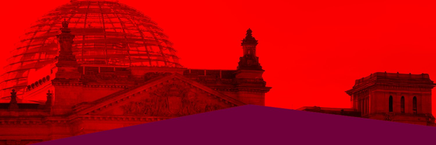 Die Linke im Bundestag's banner