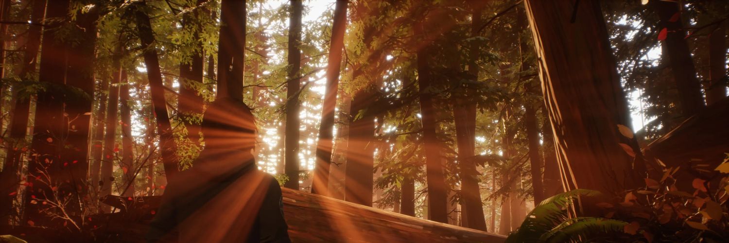 xivxvis's profile banner image