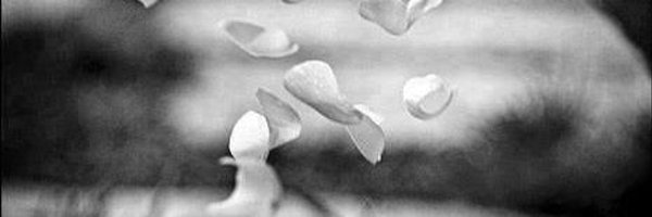 NawaidHashmi5 Profile Banner