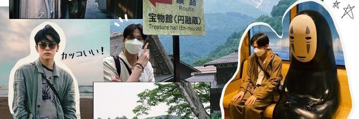 nadine banner