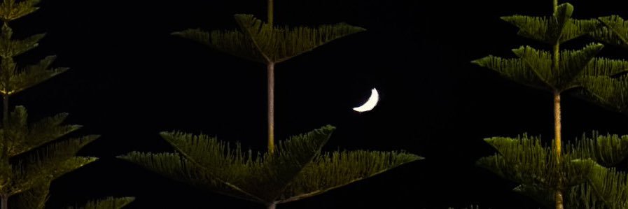 nnwii__'s profile banner image
