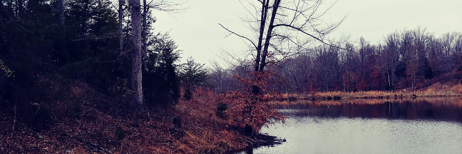 SeanRHale's profile banner image