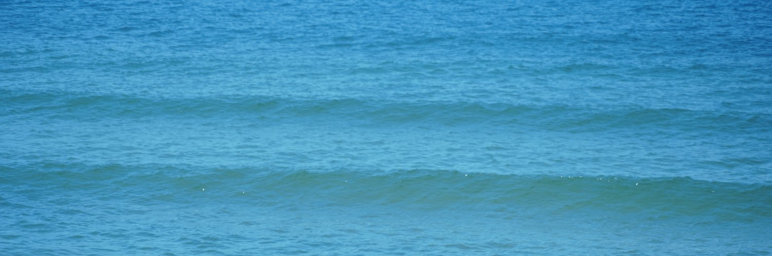 scottaphillips banner