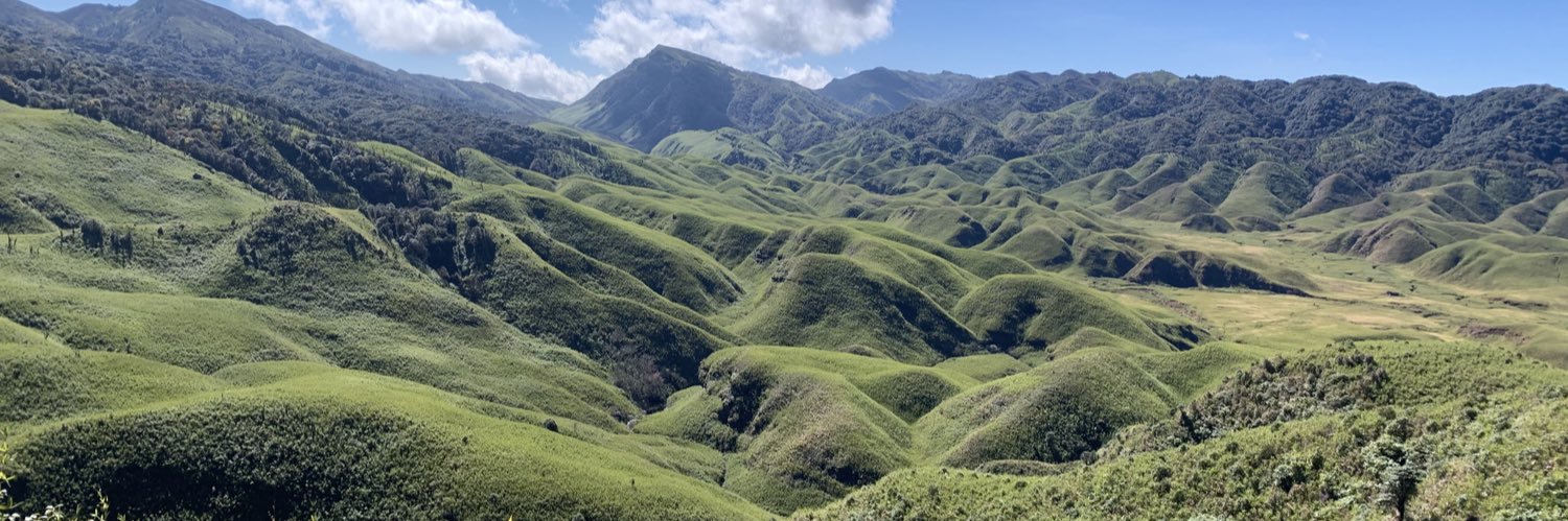 The Cow that eats grass 🐂 banner