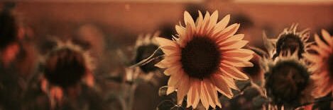 Mchmndzaa's profile banner image